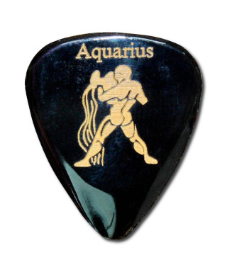 Plectrum TIMBERTONES Zodiac aquarium