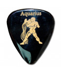 Plectrum TIMBERTONES Zodiac aquarium