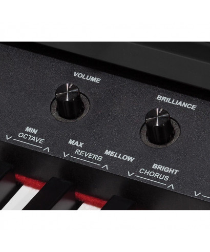 Digital Digital Plan DP-420K with cabinet and K8 keyboard