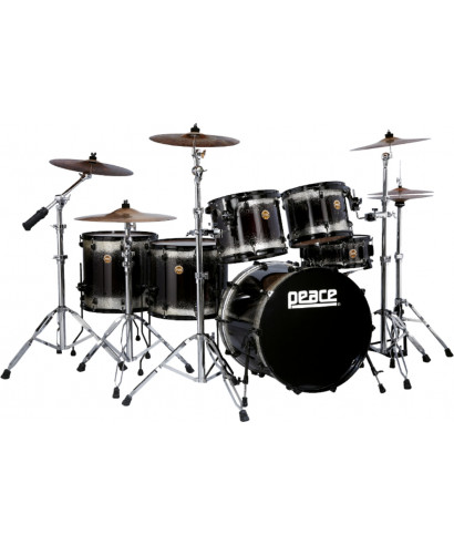 Peace battery DP-22dna2-5 302 Supernova