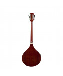 Bouzouki irlandese soundsation sbou-20e con borsa