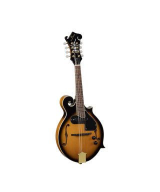 BMA Bluegrass Soundsation Mandolin-100es Sunburst F Style + Pickup
