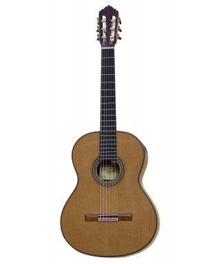 Classical guitar Cuenca profesional line with case