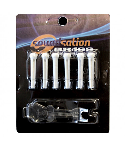 Set 6 pigs of acoustic chit with remover SOUNDSATION Br100