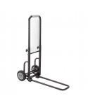 CARRELLO SOUNDSATION TR50-MINI 2 RUOTE RICHIUDIBILE 50KG