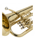 Euphonium Seu-20g in Sib Gold Soundsation 3 pistons