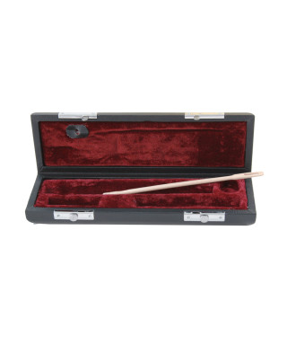 Case C-SFL 10 for flute