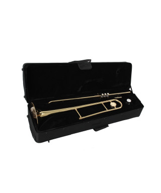 Case C-STB10 for trombone