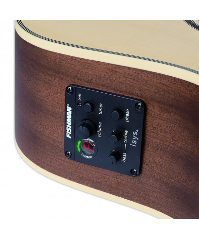 Acoustic guitar Nylon stage strings-Classic Cutaway w /FISHMAN ISYS +