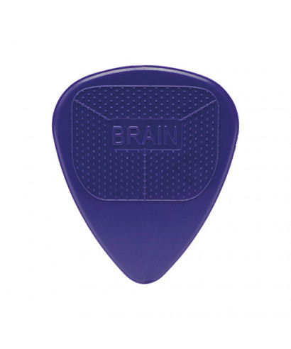 TIN BOX 12 PLETTRI D'ANDREA BRAIN PICKS TNSDB351 .60