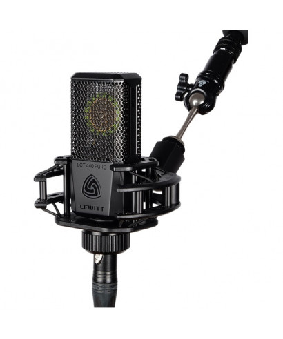 Lewitt LCT 440 microphone as well