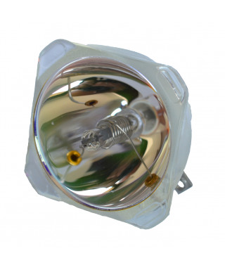 Standard 2R lamp