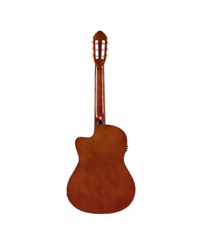 PRIMERA SPRUCE CE 44 NT