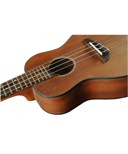 Eko Uku Duo Ukulele concert