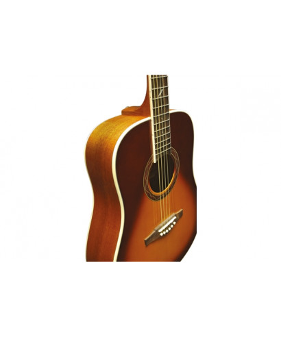 EKO ONE D VINTAGE BURST