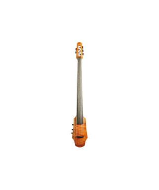 Ns design cr5 cello 5 strings