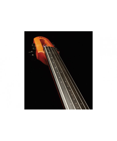 Ns design cr5 cello 5 strings
