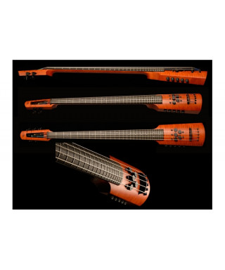 NS Design CR4 Omni Bass 4 ropes Fretted