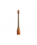 Ns design cr5 omni bass 5 fretless strings