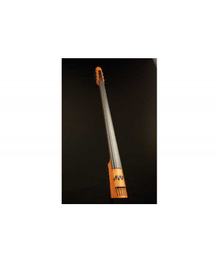 NS Design EU6 double bass 6 strings