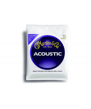 Martin & Co. M175 - Custom Light acoustic guitar suit: