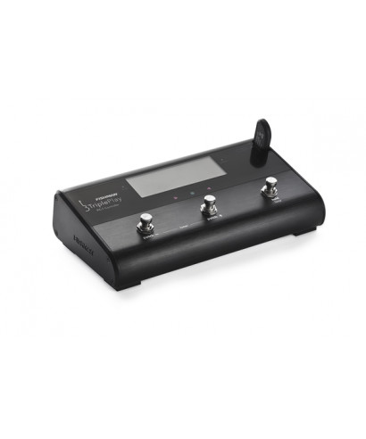 Fishman TriplePlay FC-1 Foot Controller