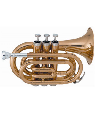 SML VSM TP50 lacquered pocket trumpet