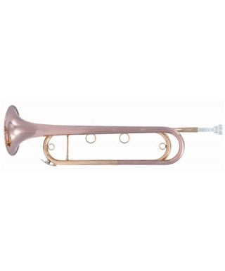 SML VSM FTPC91-R Cavalry trumpet concert in red brass