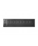 Roli seaboard rise 49