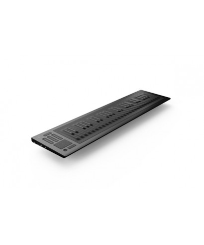 Roli seaboard rise 49