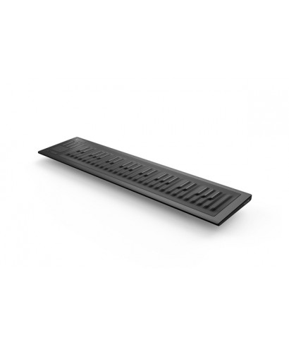 Roli seaboard rise 49