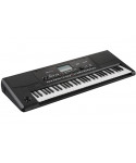 Korg PA300 - Tastiera Arranger Compatta e Versatile | Piazzo