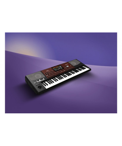 Korg pa700-or