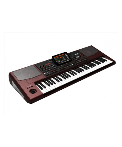 KORG PA1000 - Arranger professional workstation | Piazzo