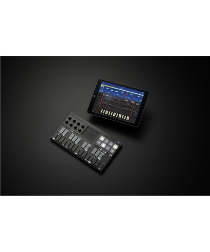 Korg NanoKey Studio