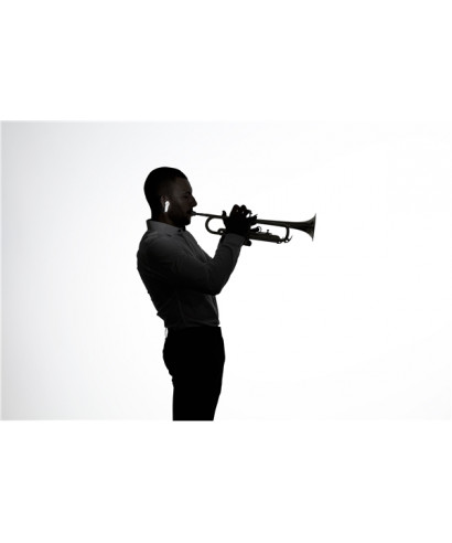 Korg in-earmetronome - metronomo auricolare ie-1m