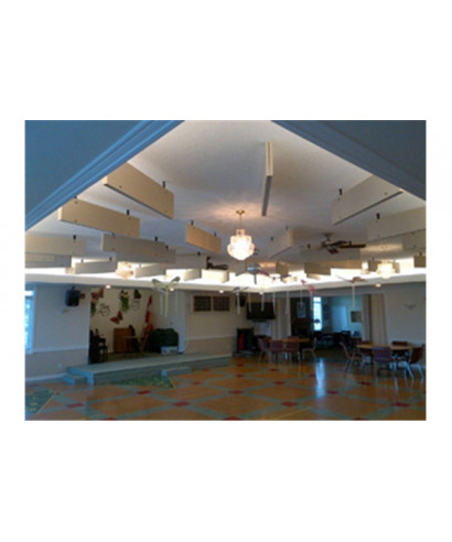 PrimaCoustic Saturn-LP