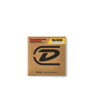 Dunlop DJP0920 Banjo Phosphor Bronze, Light Set/5