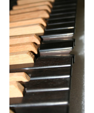 Viscount single keyboard (TP8) - Covered wooden keys