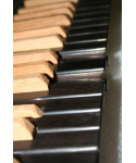 Viscount single keyboard (TP8) - Covered wooden keys