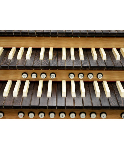 Viscount a.w.k. single keyboard - Wooden keys