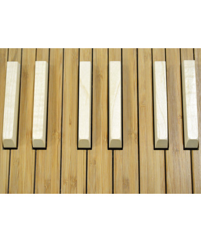 Viscount a.w.k. single keyboard - Wooden keys