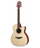 CRAFTER SILVER SERIES HTE 250/N CE