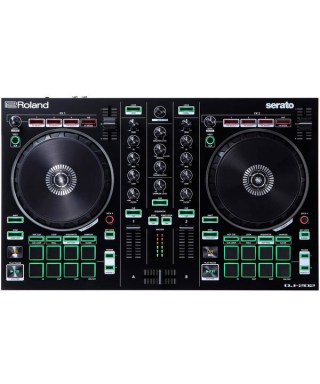 ROLAND DJs-202
