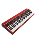 ROLAND GoKeys