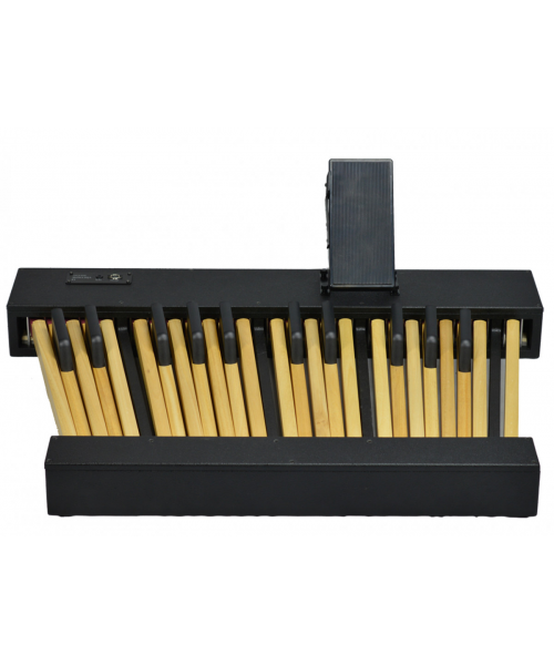 VISCOUNT Pedalboard 25