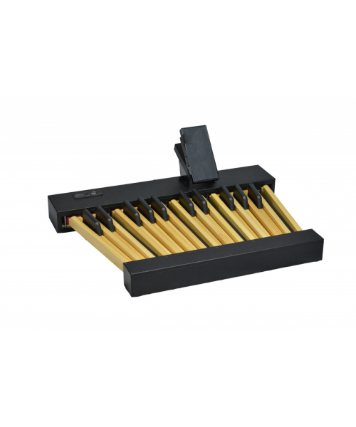 VISCOUNT Pedalboard 25