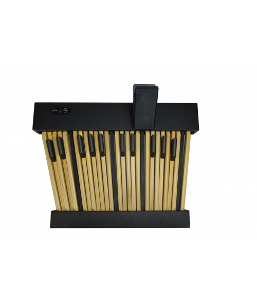 VISCOUNT Pedalboard 25