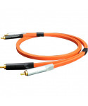 NEO OYAIDE d+ RCA CLASS A 1 MT