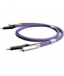 NEO OYAIDE D + RCA Class S 2 mt